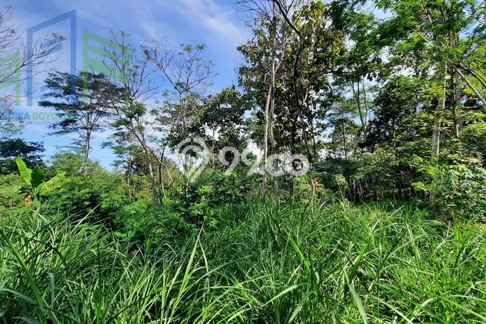 Dijual Tanah Lokasi Boyolali Kota, Boyolali Seluas 1015m2 Dijual Tanah Lokasi Boyolali Kota, Boyolali Seluas 1015m2
