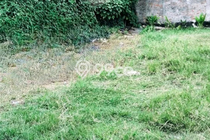 Tanah untuk Dijual Lokasi Sawangan, Depok Luas 100m2 SHM Tanah untuk Dijual Lokasi Sawangan, Depok Luas 100m2 SHM