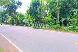 Tanah untuk Dijual Lokasi Antiga, Karangasem Luas 1700m2 SHM Tanah untuk Dijual Lokasi Antiga, Karangasem Luas 1700m2 SHM
