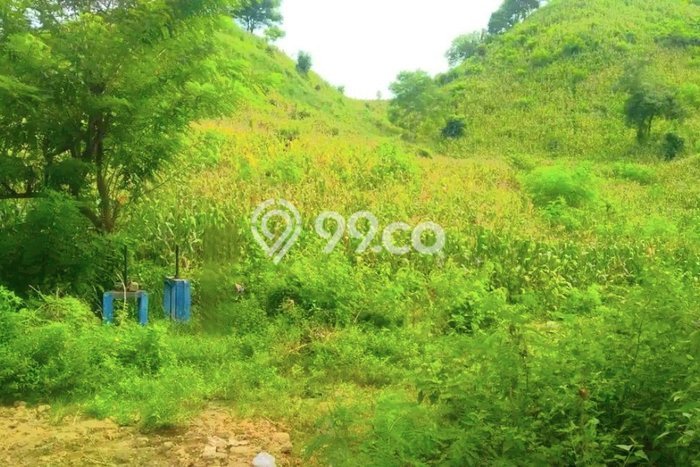 Tanah Dijual Lokasi Moyohilir, Sumbawa Luas 104335m2 Legalitas Aman Tanah Dijual Lokasi Moyohilir, Sumbawa Luas 104335m2 Legalitas Aman
