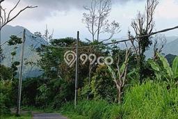 Lahan Investasi Lokasi Sukasada Buleleng SHM Lahan Investasi Lokasi Sukasada Buleleng SHM