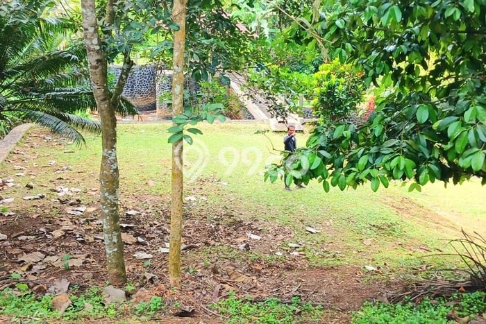 Tanah Kavling untuk Disewa di Selemadeg Tabanan 5400m2 Tanah Kavling untuk Disewa di Selemadeg Tabanan 5400m2