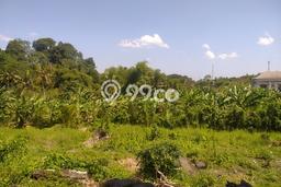Dijual Tanah Lokasi Dauhpeken, Tabanan Seluas 4832m2 Dijual Tanah Lokasi Dauhpeken, Tabanan Seluas 4832m2