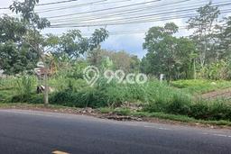 Kavling Tanah Disewakan di Mengwi Badung Luas 3280m2 Strategis Kavling Tanah Disewakan di Mengwi Badung Luas 3280m2 Strategis