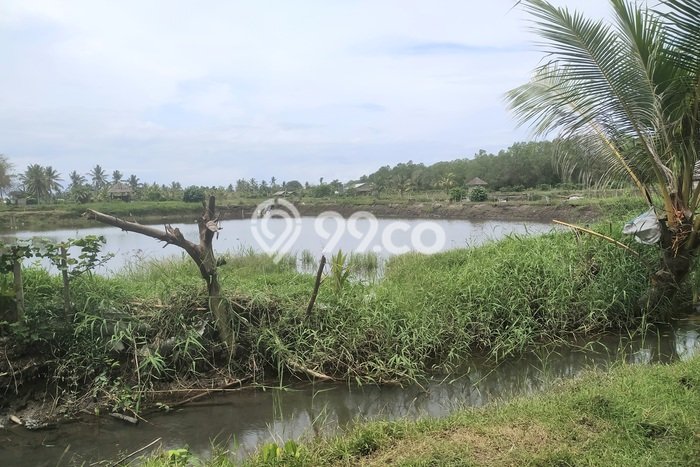 Lahan untuk Dijual Lokasi Melaya, Jembrana Luas 18000m2 - Lahan untuk Dijual Lokasi Melaya, Jembrana Luas 18000m2 -