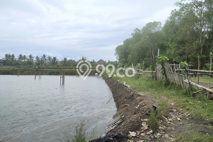 Lahan untuk Dijual Lokasi Melaya, Jembrana Luas 18000m2 - Lahan untuk Dijual Lokasi Melaya, Jembrana Luas 18000m2 -