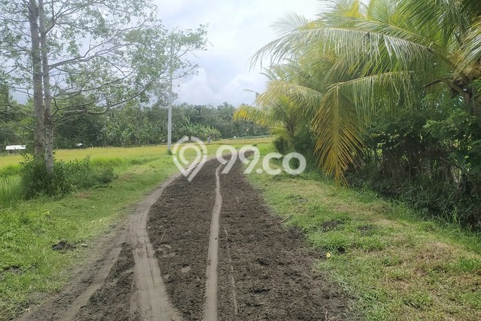 Lahan untuk Dijual Lokasi Melaya, Jembrana Luas 18000m2 - Lahan untuk Dijual Lokasi Melaya, Jembrana Luas 18000m2 -