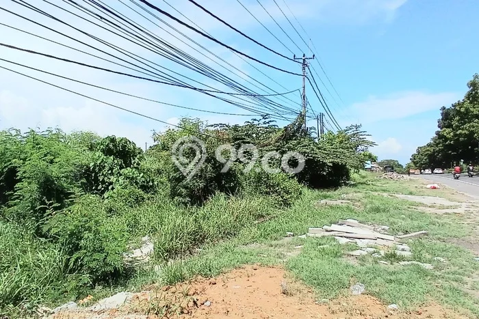 Kavling Tanah untuk Disewa di Pering Lahan Luas 10000m2 Kavling Tanah untuk Disewa di Pering Lahan Luas 10000m2