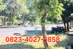 Tanah Dijual di Gianyar Seluas 1000m2 Strategis Tanah Dijual di Gianyar Seluas 1000m2 Strategis