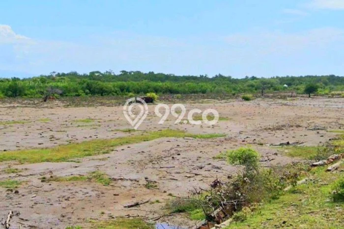Tanah untuk Dijual di Sumbawa Sumbawa Luas 50500m2 Tanah untuk Dijual di Sumbawa Sumbawa Luas 50500m2