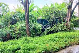 Tanah Kavling untuk Dijual di Dawan Klungkung 2484m2 Tanah Kavling untuk Dijual di Dawan Klungkung 2484m2