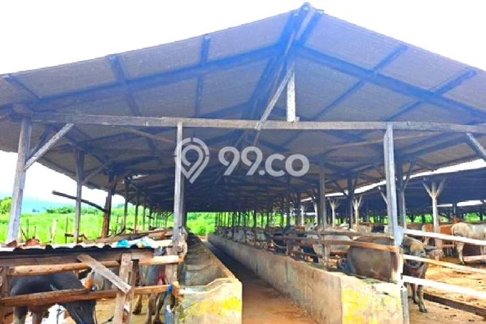 Lahan Kosong Dijual di Labangka, Sumbawa, Luas 550000m2 Area Strategis Lahan Kosong Dijual di Labangka, Sumbawa, Luas 550000m2 Area Strategis
