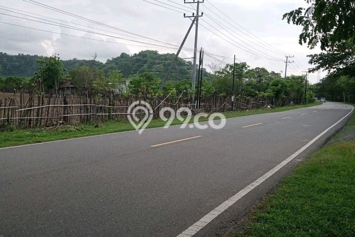 Tanah Komersial Dijual di Alas Barat Sumbawa 12600m2 Tanah Komersial Dijual di Alas Barat Sumbawa 12600m2