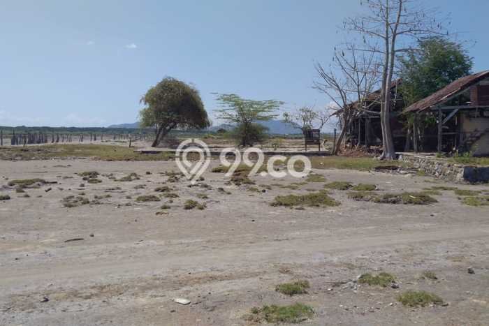 Kavling Tanah Dijual di Moyohilir Sumbawa Spesifikasi 120000m2 Kavling Tanah Dijual di Moyohilir Sumbawa Spesifikasi 120000m2