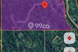 Kavling Tanah di Kubutambahan Dijual Luas 92500m2 Legalitas - Kavling Tanah di Kubutambahan Dijual Luas 92500m2 Legalitas -