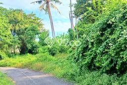 Tanah Dijual Area Strategis di Keramas Gianyar 3250m2 Tanah Dijual Area Strategis di Keramas Gianyar 3250m2