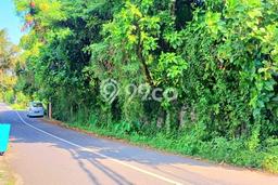 Tanah Dijual Lokasi Sukawati, Gianyar Luas 3188m2 Legalitas Aman Tanah Dijual Lokasi Sukawati, Gianyar Luas 3188m2 Legalitas Aman
