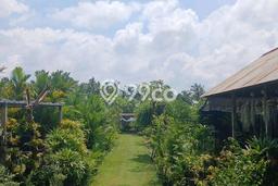 Lahan Dijual Lokasi Strategis di Badung dengan Luas 2000m2 Lahan Dijual Lokasi Strategis di Badung dengan Luas 2000m2