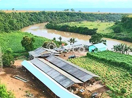 Lahan Kosong Dijual di Labangka, Sumbawa, Luas 550000m2 Area Strategis Lahan Kosong Dijual di Labangka, Sumbawa, Luas 550000m2 Area Strategis