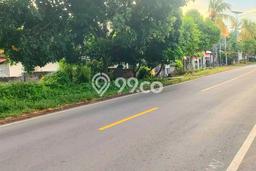 Tanah di Gerokgak, Buleleng Luas 10000m2 Dijual Segera Tanah di Gerokgak, Buleleng Luas 10000m2 Dijual Segera