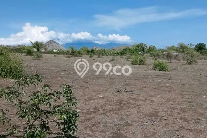 Tanah untuk Dijual di Sumbawa Sumbawa Luas 20290m2 Tanah untuk Dijual di Sumbawa Sumbawa Luas 20290m2