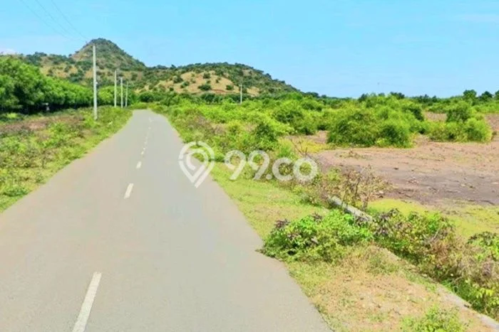 Tanah untuk Dijual di Sumbawa Sumbawa Luas 50500m2 Tanah untuk Dijual di Sumbawa Sumbawa Luas 50500m2