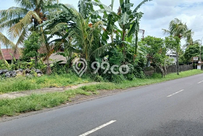 Kavling Tanah Lokasi Strategis di Marga, Tabanan Disewakan 400m2 Kavling Tanah Lokasi Strategis di Marga, Tabanan Disewakan 400m2