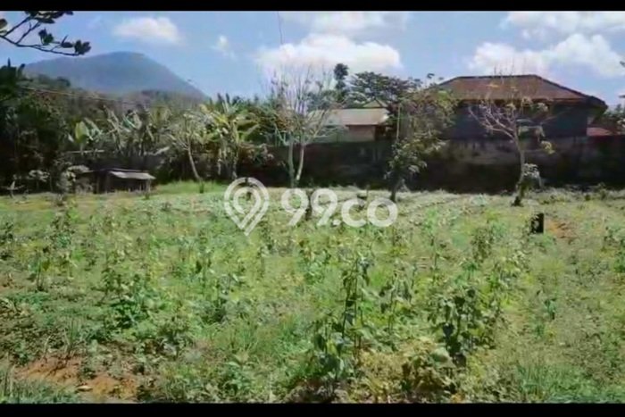 Untuk Dijual Tanah di Baturiti Tabanan Luas 23475m2 SHM Untuk Dijual Tanah di Baturiti Tabanan Luas 23475m2 SHM