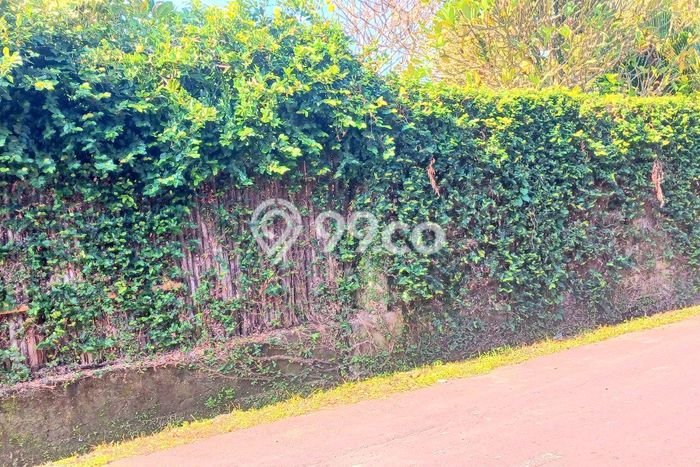 Tanah Dijual Area Strategis di Umalas Badung 850m2 Tanah Dijual Area Strategis di Umalas Badung 850m2