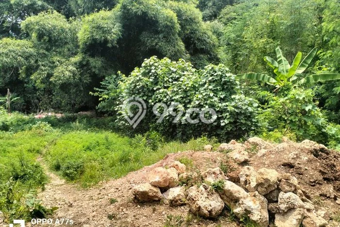 Untuk Dijual Tanah 472m2 di Benoa, Badung Untuk Dijual Tanah 472m2 di Benoa, Badung