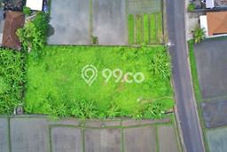 Kavling Tanah Dijual di Kediri Tabanan Spesifikasi 1446m2 Kavling Tanah Dijual di Kediri Tabanan Spesifikasi 1446m2