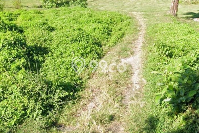 Dijual Tanah 11170m2 di Tulikup, Gianyar Dijual Tanah 11170m2 di Tulikup, Gianyar
