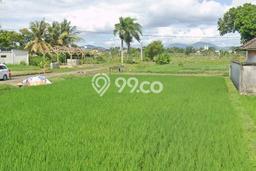Tanah Dijual Lokasi Mataram Mataram SHM Tanah Dijual Lokasi Mataram Mataram SHM