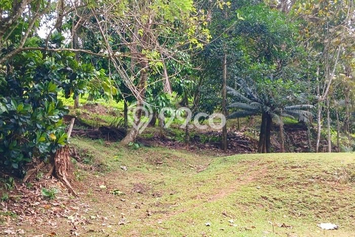 Tanah Kavling untuk Disewa di Selemadeg Tabanan 5400m2 Tanah Kavling untuk Disewa di Selemadeg Tabanan 5400m2