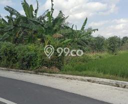 Tanah Investasi Dijual di Tabanan Punya Luas 4375m2 Tanah Investasi Dijual di Tabanan Punya Luas 4375m2