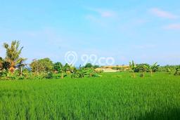 Lahan Investasi Lokasi Sukawati Gianyar SHM Lahan Investasi Lokasi Sukawati Gianyar SHM