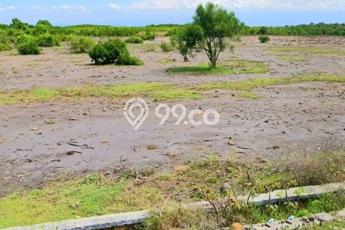 Tanah untuk Dijual di Sumbawa Sumbawa Luas 50500m2 Tanah untuk Dijual di Sumbawa Sumbawa Luas 50500m2