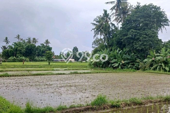 Disewakan Tanah di Denpasar, Luas 2300m2 Area Berkembang Disewakan Tanah di Denpasar, Luas 2300m2 Area Berkembang