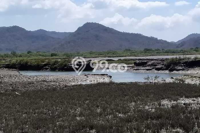 Kavling Tanah Dijual di Moyohilir Sumbawa Spesifikasi 120000m2 Kavling Tanah Dijual di Moyohilir Sumbawa Spesifikasi 120000m2