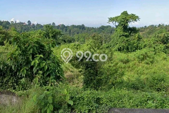 Kavling Tanah untuk Dijual di Bajera, Tabanan, Luas 4020m2 Kavling Tanah untuk Dijual di Bajera, Tabanan, Luas 4020m2