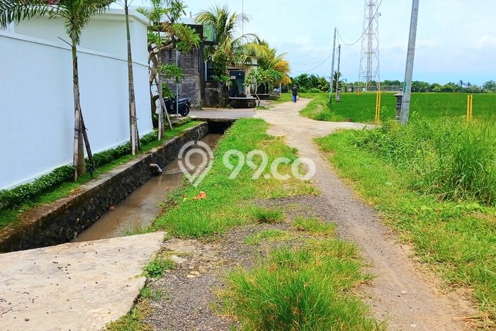 Dijual Tanah Lokasi Kelating, Tabanan Seluas 1975m2 Dijual Tanah Lokasi Kelating, Tabanan Seluas 1975m2