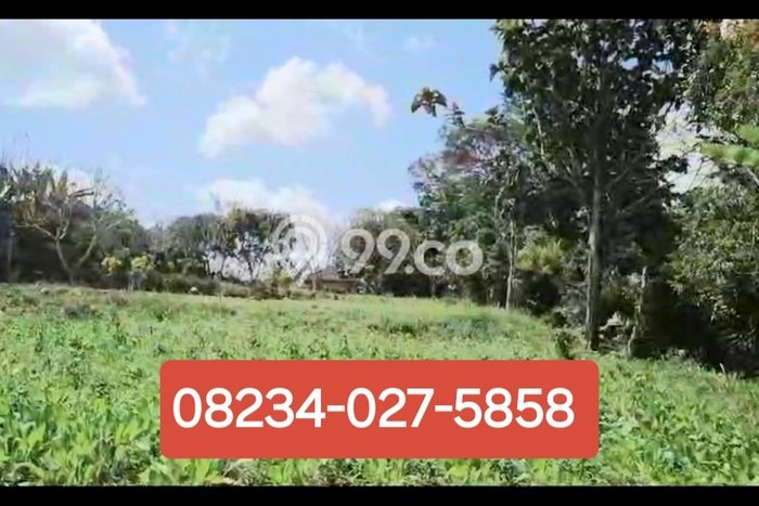 Untuk Dijual Tanah di Baturiti Tabanan Luas 23475m2 SHM Untuk Dijual Tanah di Baturiti Tabanan Luas 23475m2 SHM