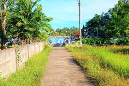 Tanah Dijual Lokasi Negara Jembrana - Tanah Dijual Lokasi Negara Jembrana -