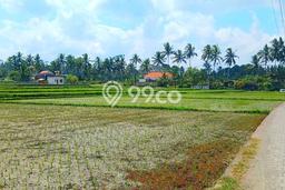 Disewakan segera rumah minimalis strategis 2 Kamar di Ubud, Gianyar Disewakan segera rumah minimalis strategis 2 Kamar di Ubud, Gianyar