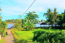 Lahan Strategis di Negara Dijual dengan Luas 2500m2 Lahan Strategis di Negara Dijual dengan Luas 2500m2