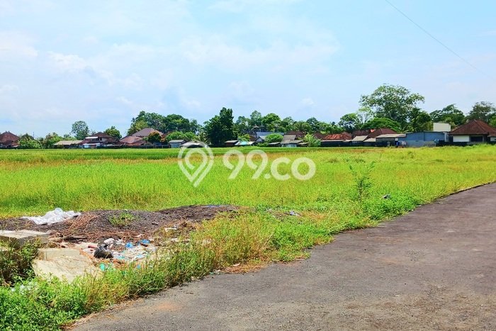 Lahan Dijual Lokasi Strategis di Tabanan dengan Luas 350m2 Lahan Dijual Lokasi Strategis di Tabanan dengan Luas 350m2
