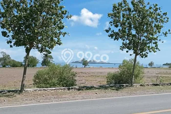 Tanah untuk Dijual di Sumbawa Sumbawa Luas 20290m2 Tanah untuk Dijual di Sumbawa Sumbawa Luas 20290m2