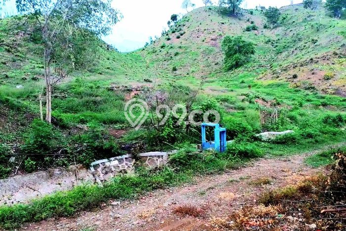 Tanah Dijual Lokasi Moyohilir, Sumbawa Luas 104335m2 Legalitas Aman Tanah Dijual Lokasi Moyohilir, Sumbawa Luas 104335m2 Legalitas Aman