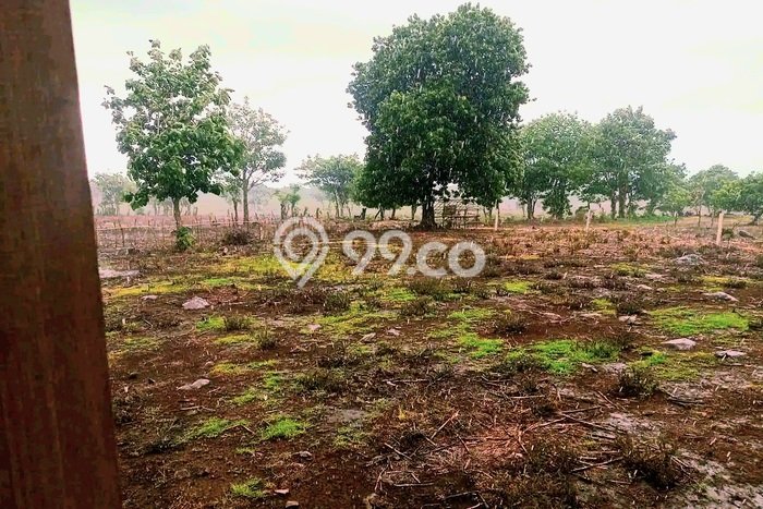 Lahan untuk Dijual Lokasi Sumbawa, Sumbawa Luas 10000m2 SHM Lahan untuk Dijual Lokasi Sumbawa, Sumbawa Luas 10000m2 SHM