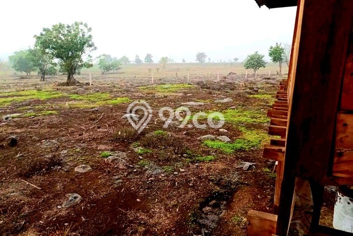 Lahan untuk Dijual Lokasi Sumbawa, Sumbawa Luas 10000m2 SHM Lahan untuk Dijual Lokasi Sumbawa, Sumbawa Luas 10000m2 SHM